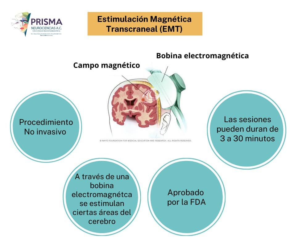 Jose Luis Olivares Neumann-2