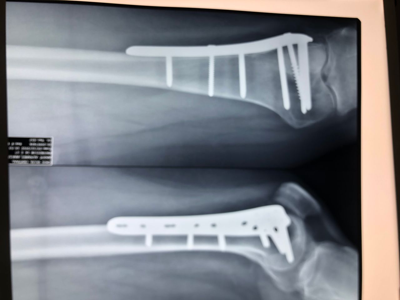 Jorge Zambada Loera-0