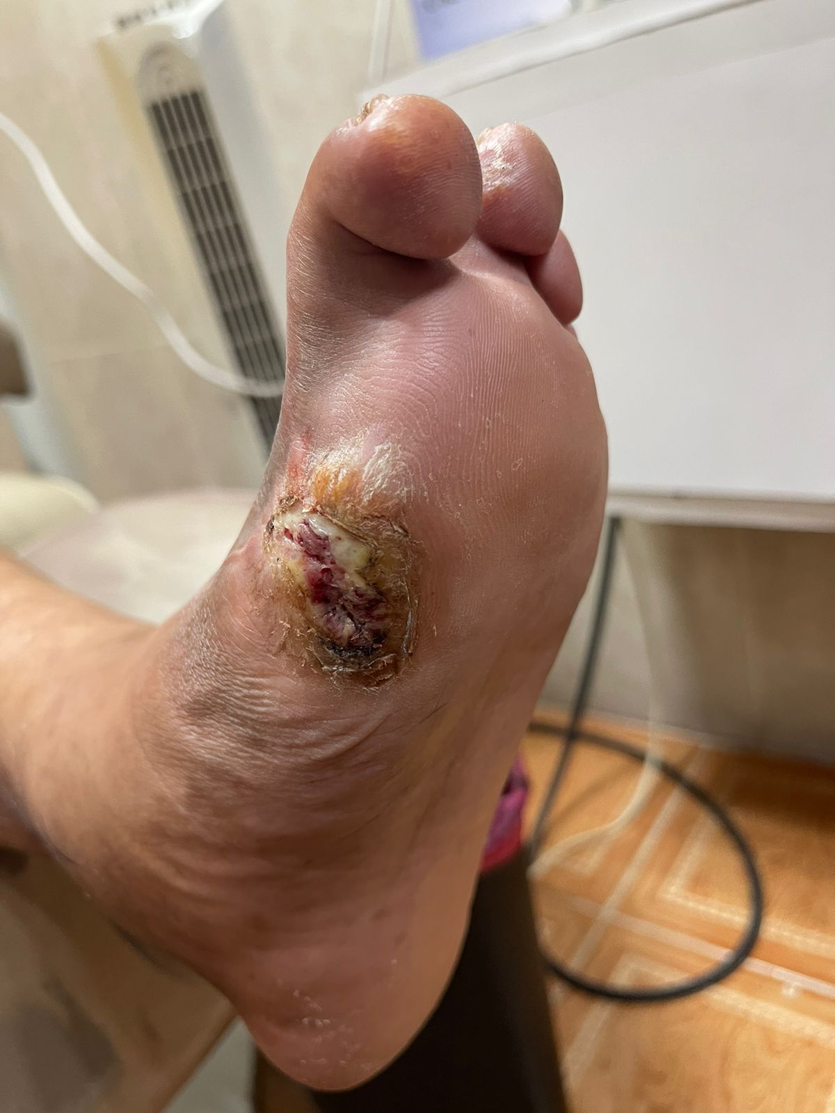 Lizette Rivera Peregrina-6