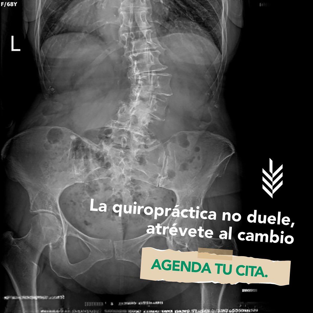 Magdalena Itzel Martínez Hernández-5