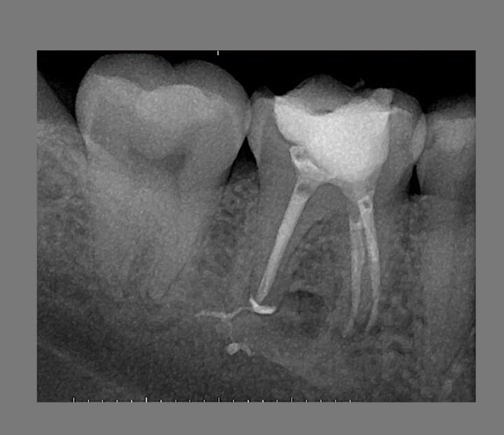 Fernando Antonio Vázquez García-3