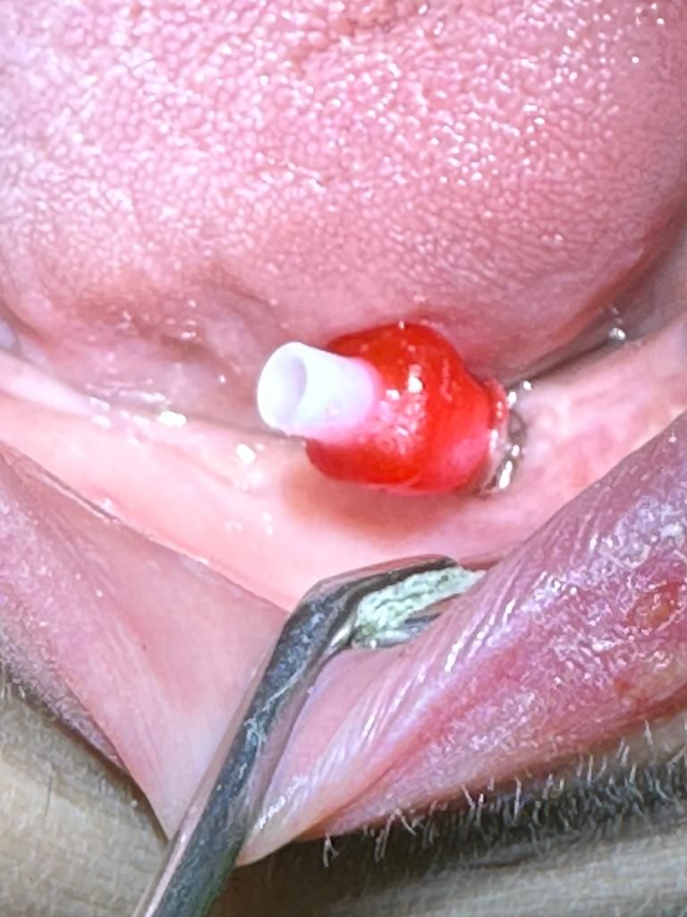 Martha Grissel Alcantar Camacho-23