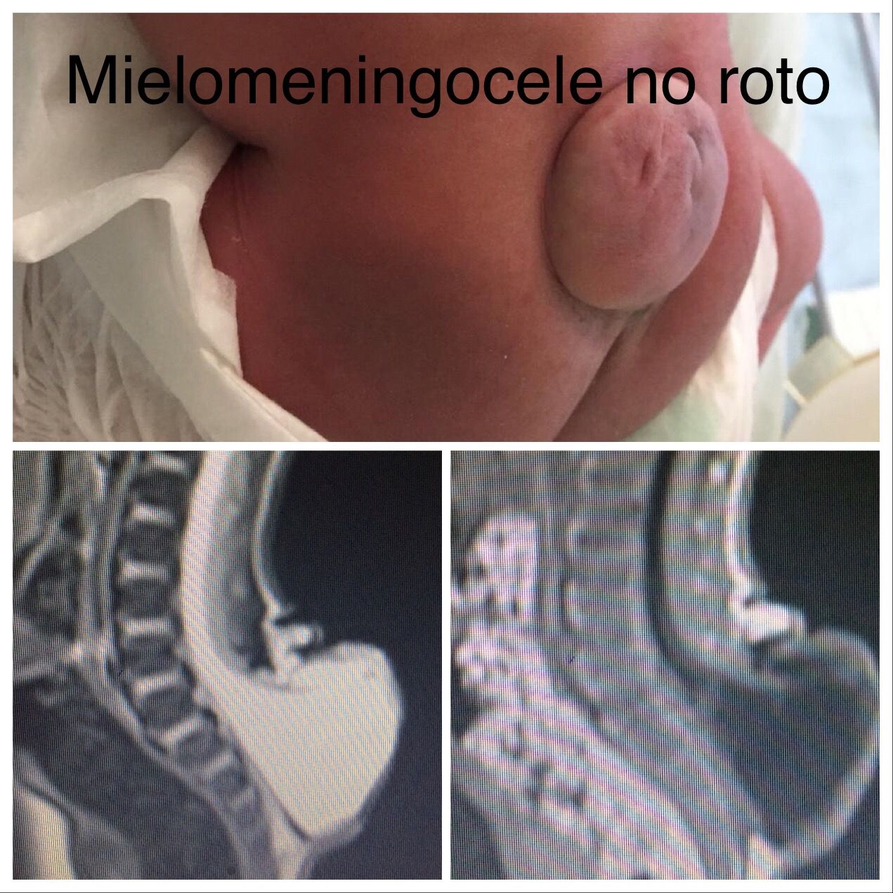 Michelle Omar Calderon Sánchez-6