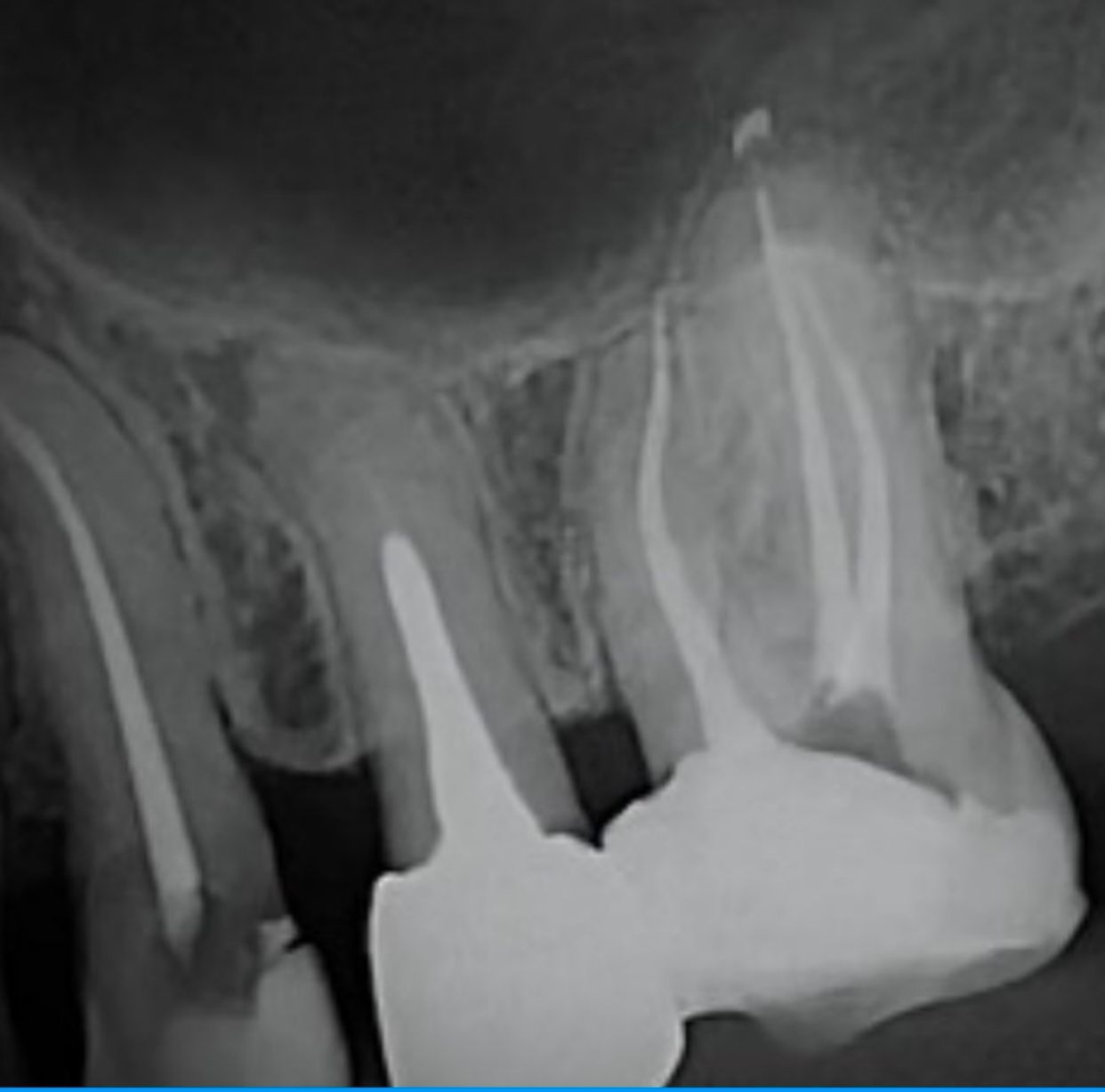 Daniela Rodríguez Ayala-16