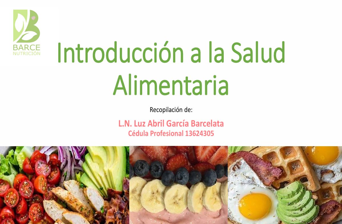 Luz Abril G. Barcelata-5