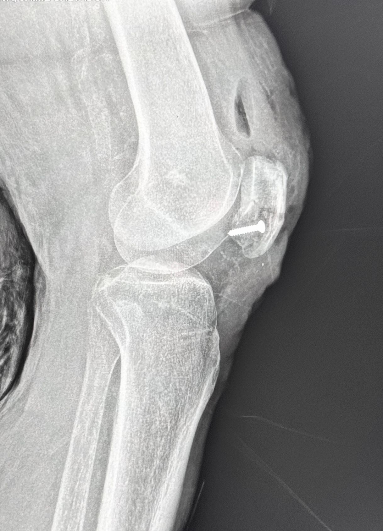 Pablo Sánchez Oropeza-1