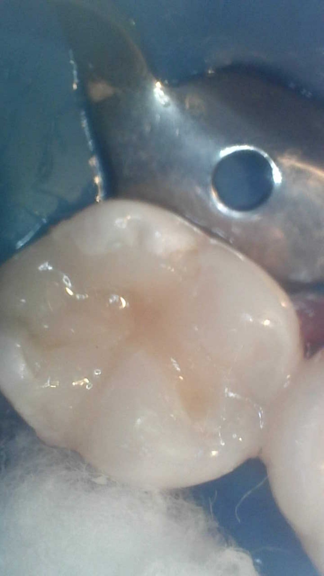 Yaneth Gutiérrez Sánchez-17