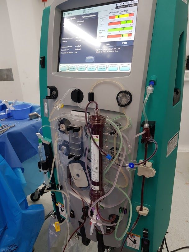 Luis Adrián Estrada Loyo-10