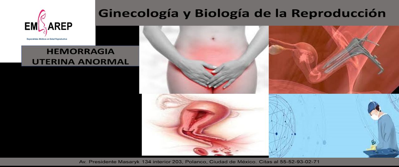 Librado Cordero Hernandez-8