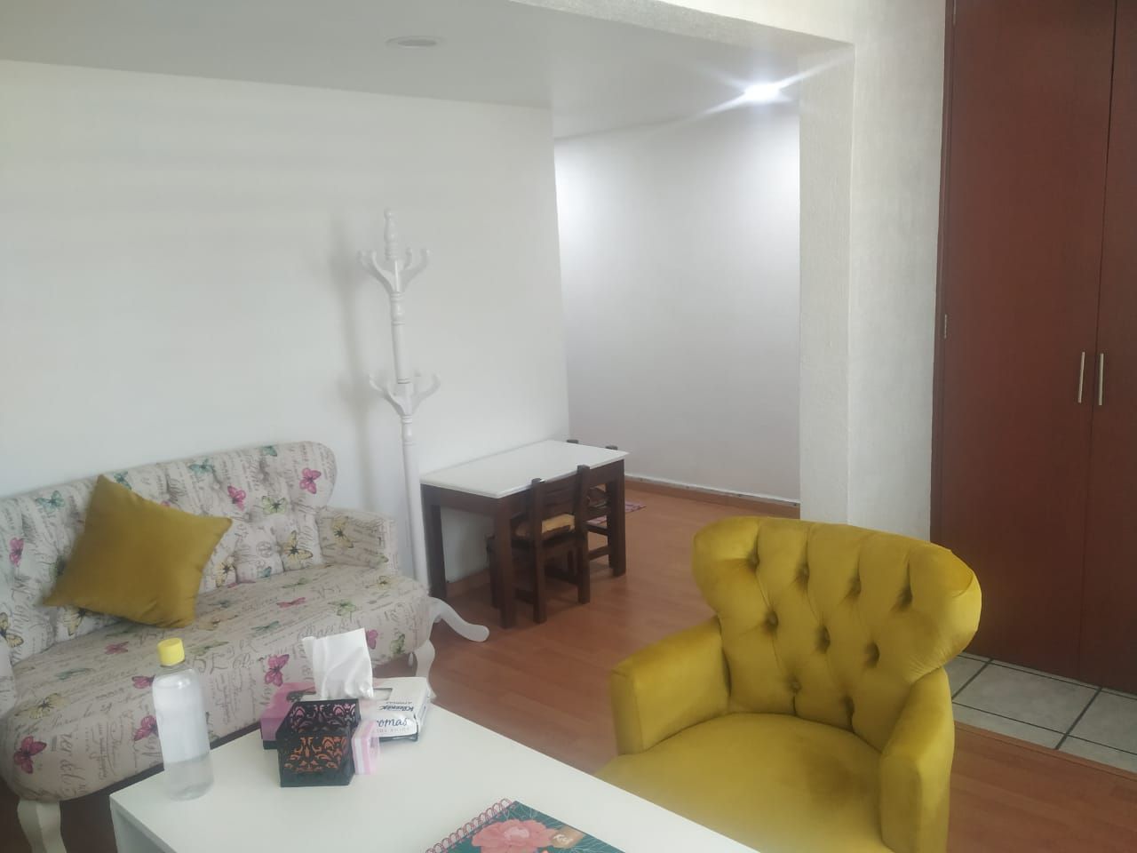 Valeria Jacqueline Mulía Vázquez-2