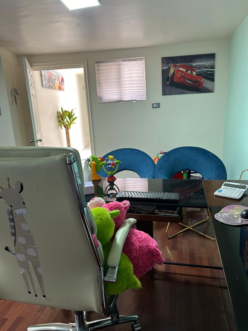 María Del Socorro Hernández Espino-4