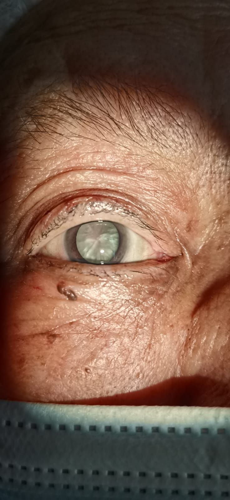 Kalid Barush Hernández Diaz-8