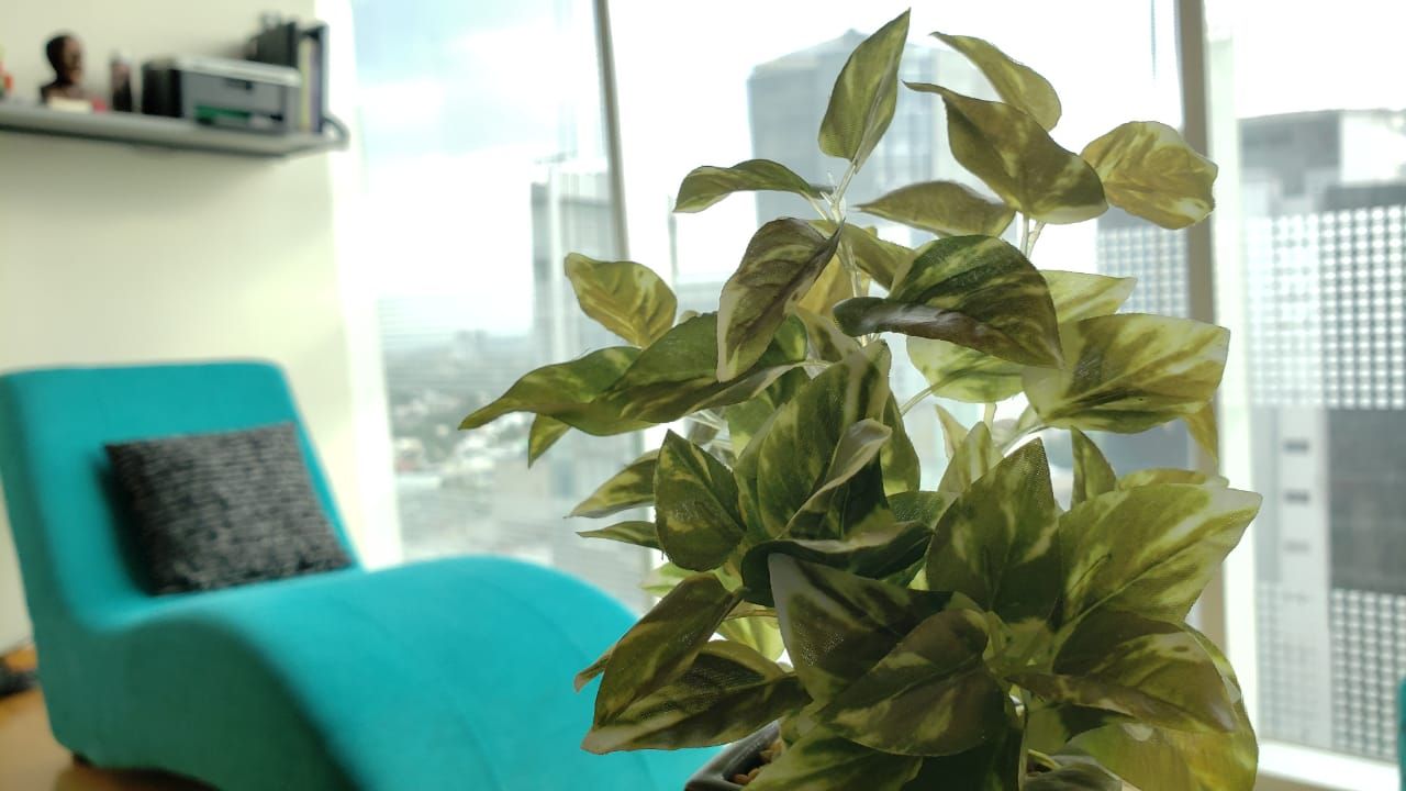 Mónica Espinal Vázquez-15