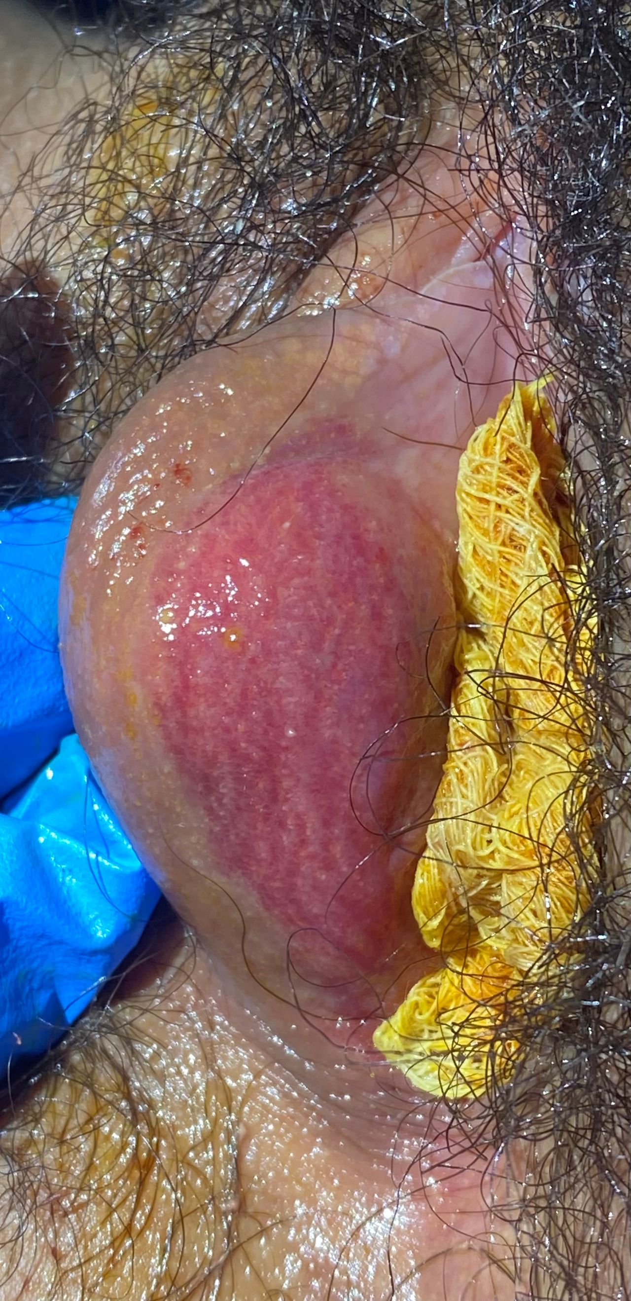 Lilia Gutierrez Franco-0