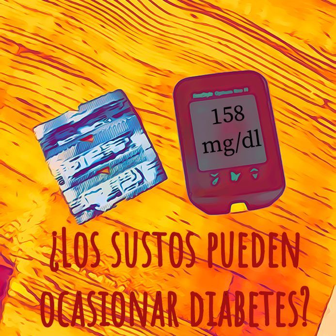 Marcela Ivonne Torres Lugo-4