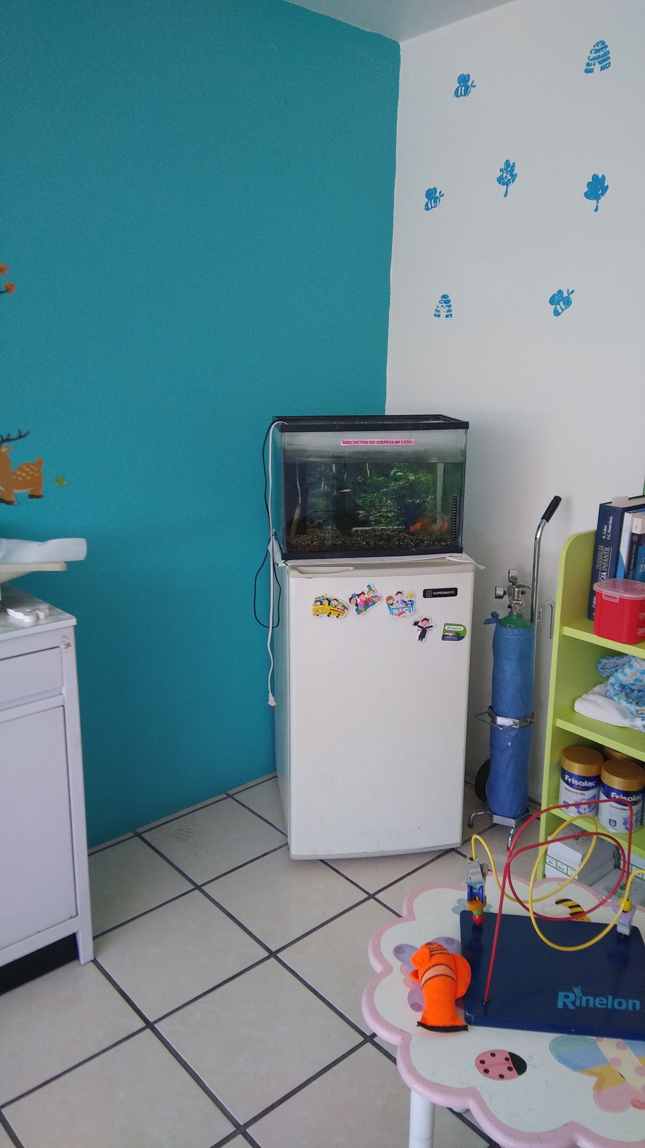 R. Amelia Cortéz Hernández-0