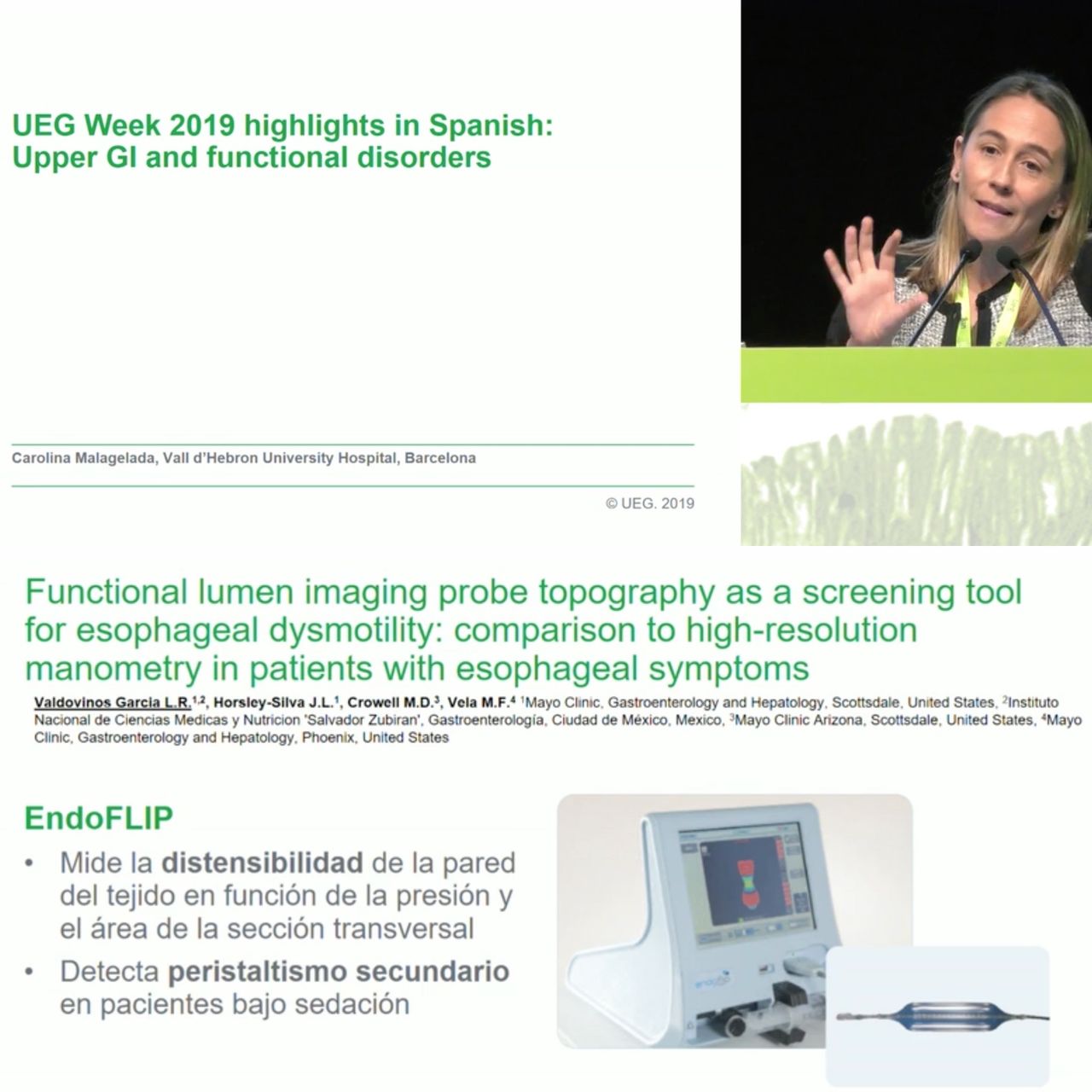 Luis Raúl Valdovinos García-6
