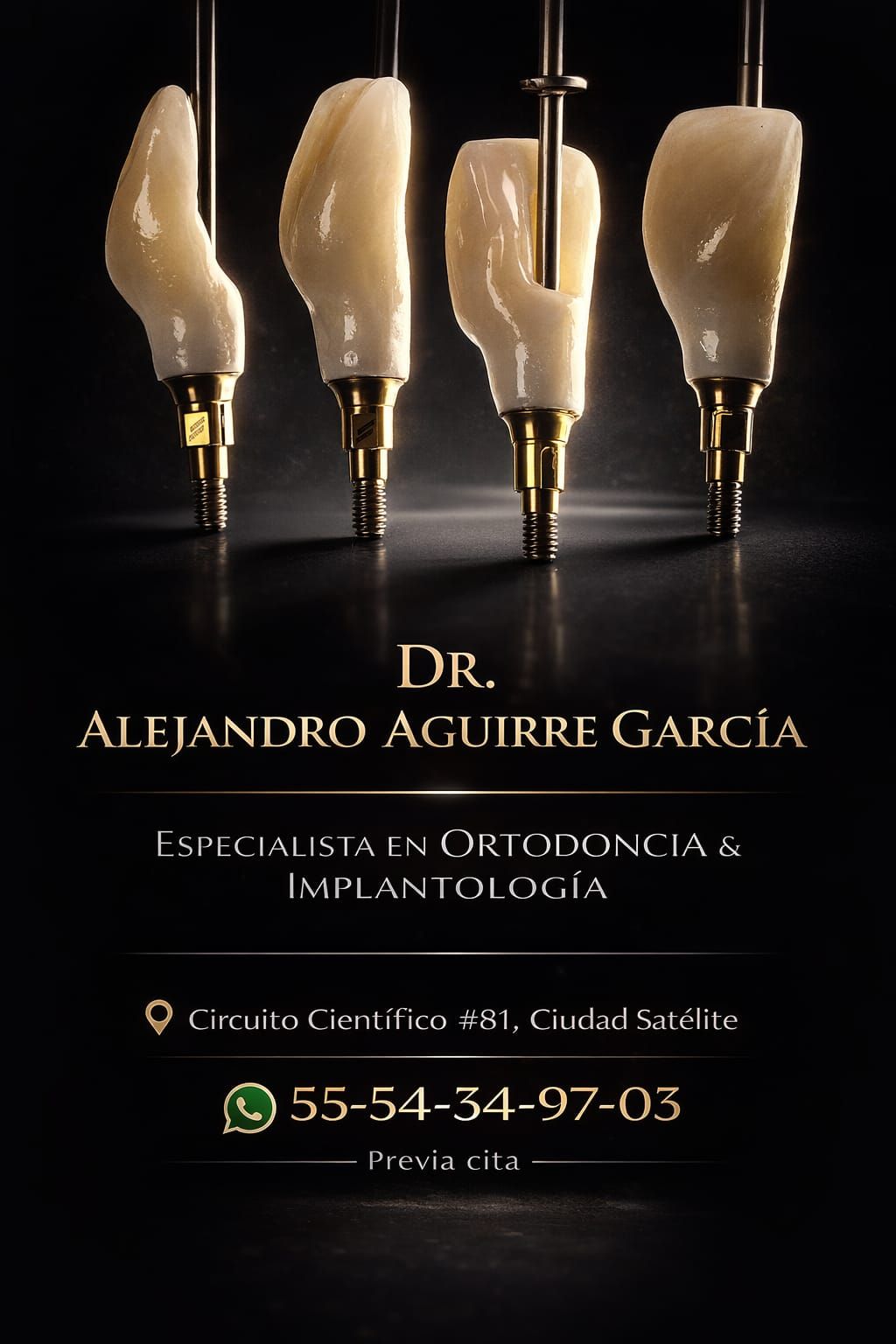 Alejandro Aguirre García-1