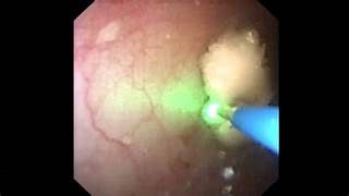 Adolfo G. De Alba Mayans-3