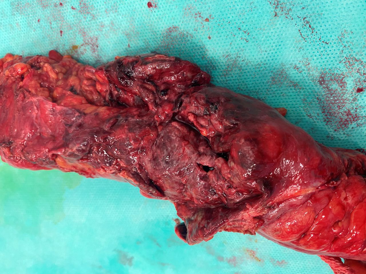 Mariann Barajas Grijalva-1