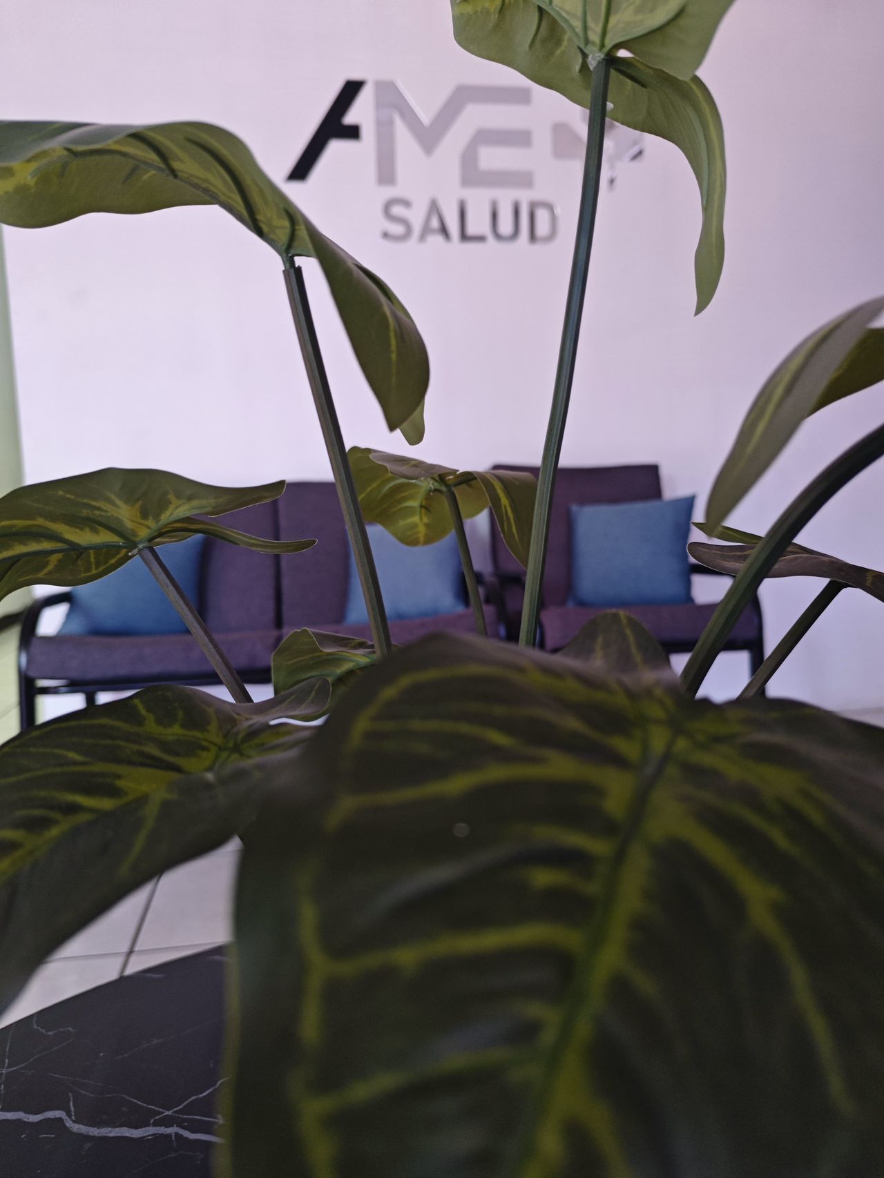 Luis Angel Moreno Espinoza-6