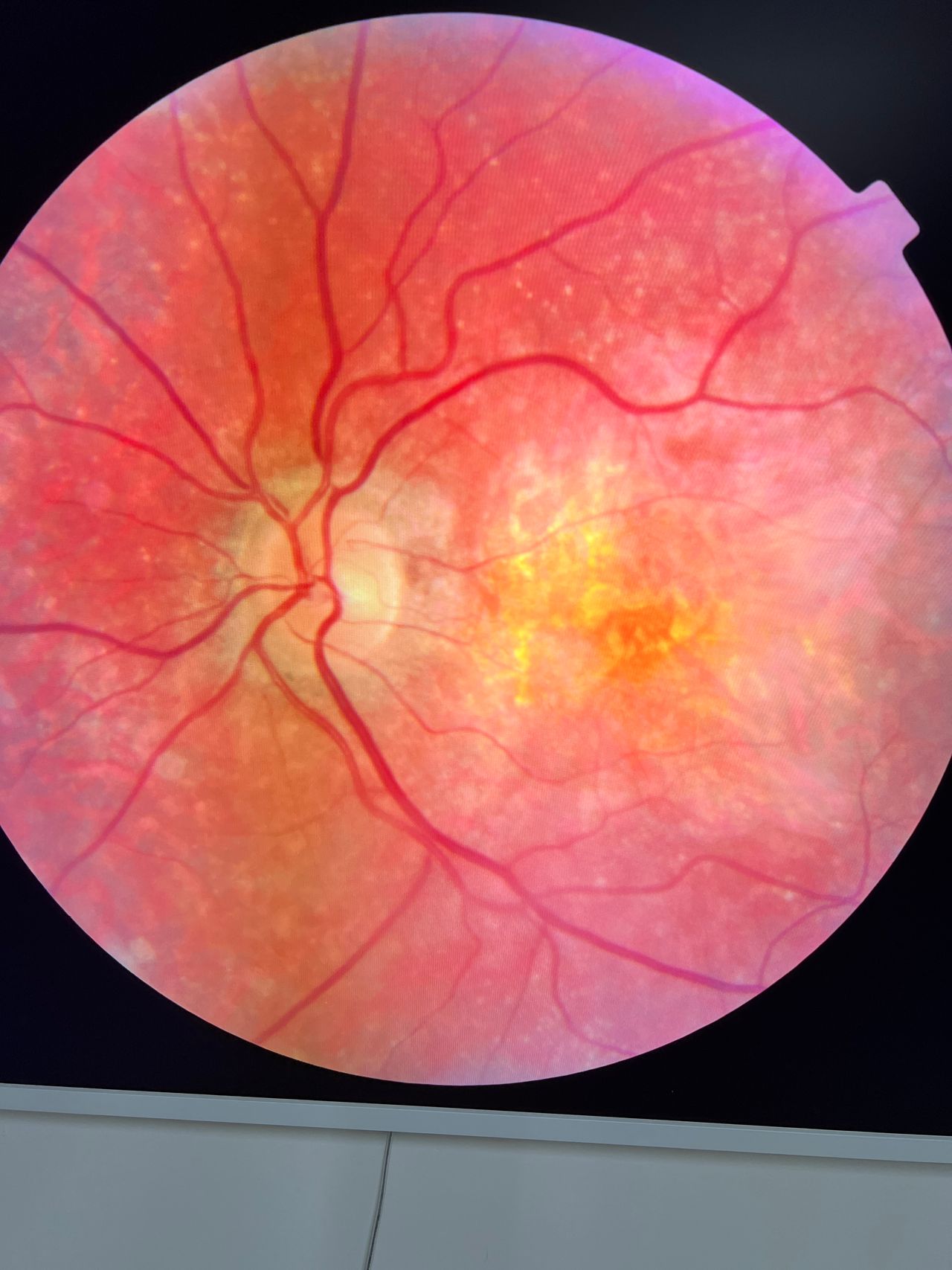 Javier Suárez Arguello-9