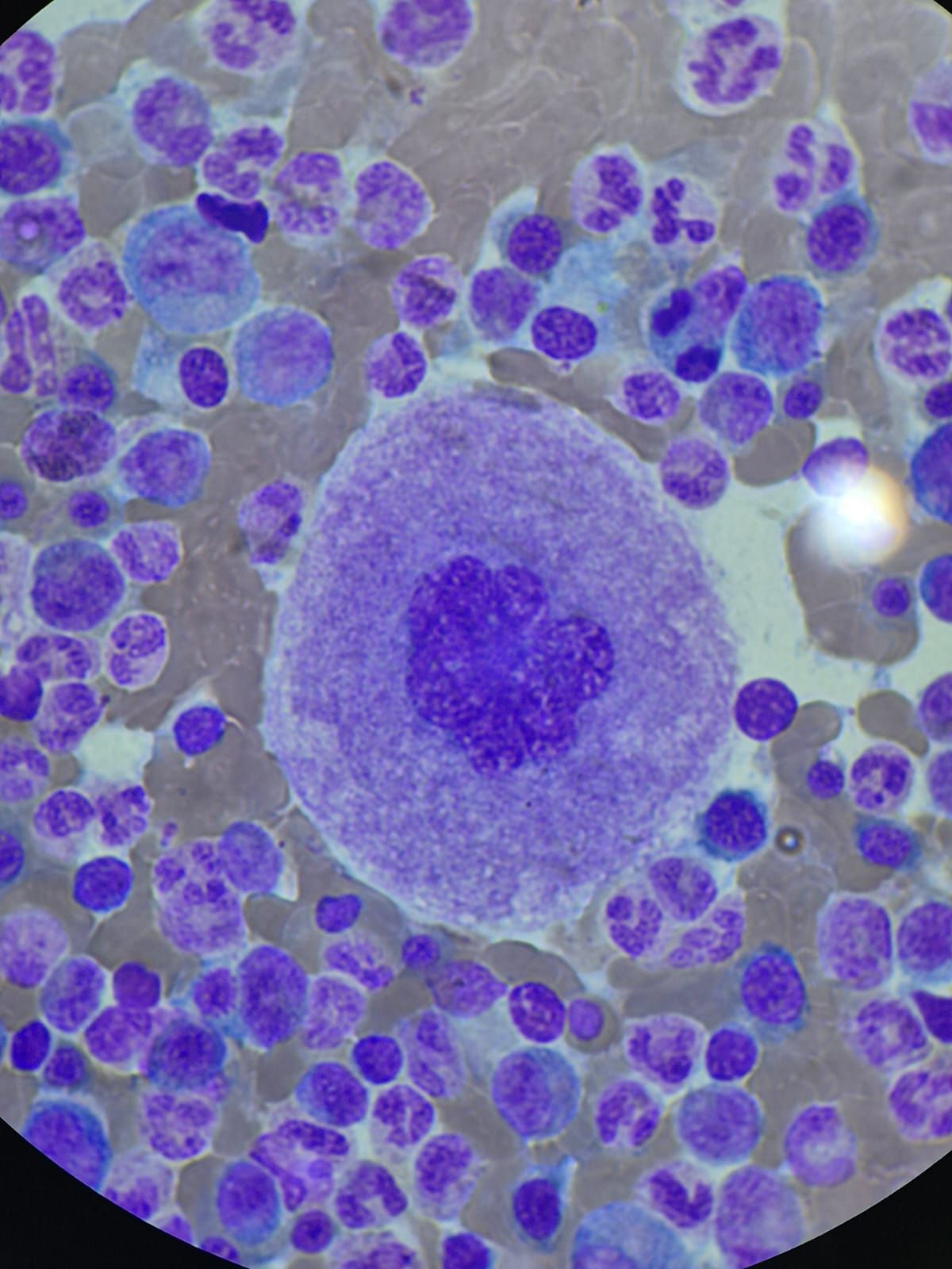 Nallely Vallejo Valencia-8