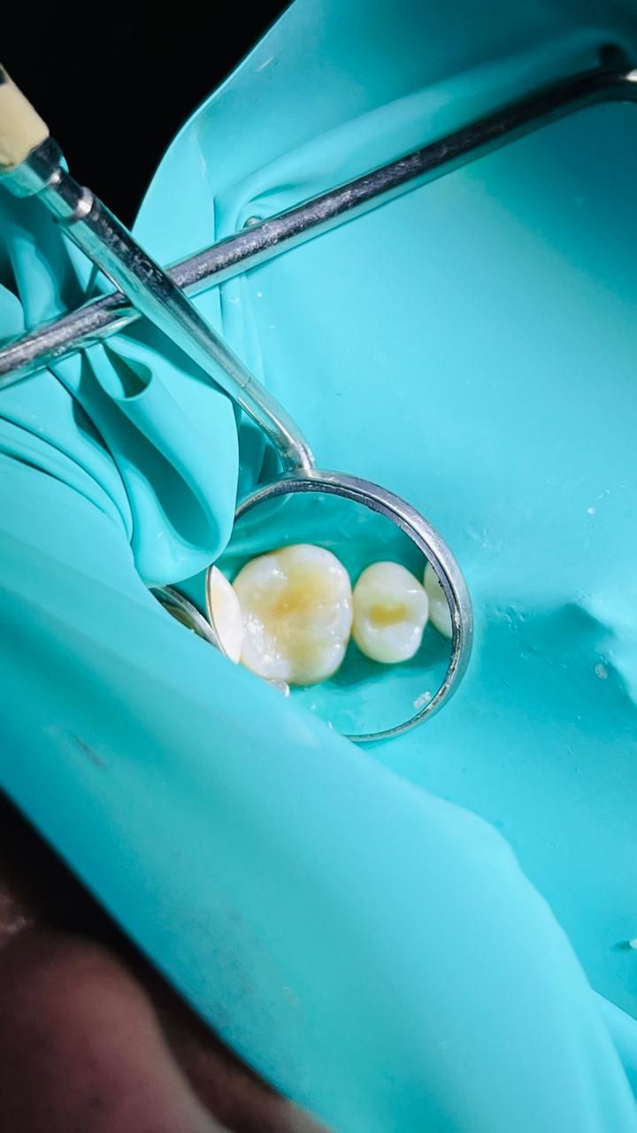 Rocio De La Aurora Carreón Vázquez-8