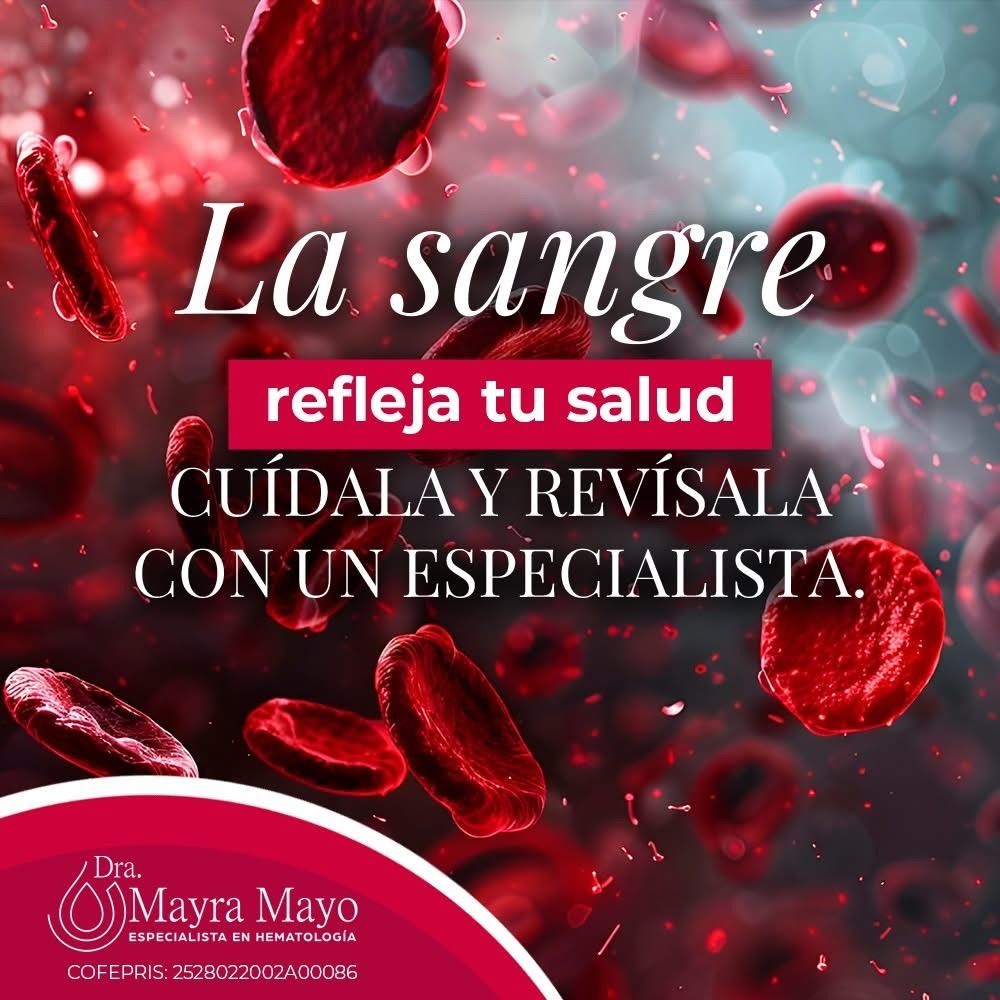 Mayra Lizbeth Mayo Martinez-19