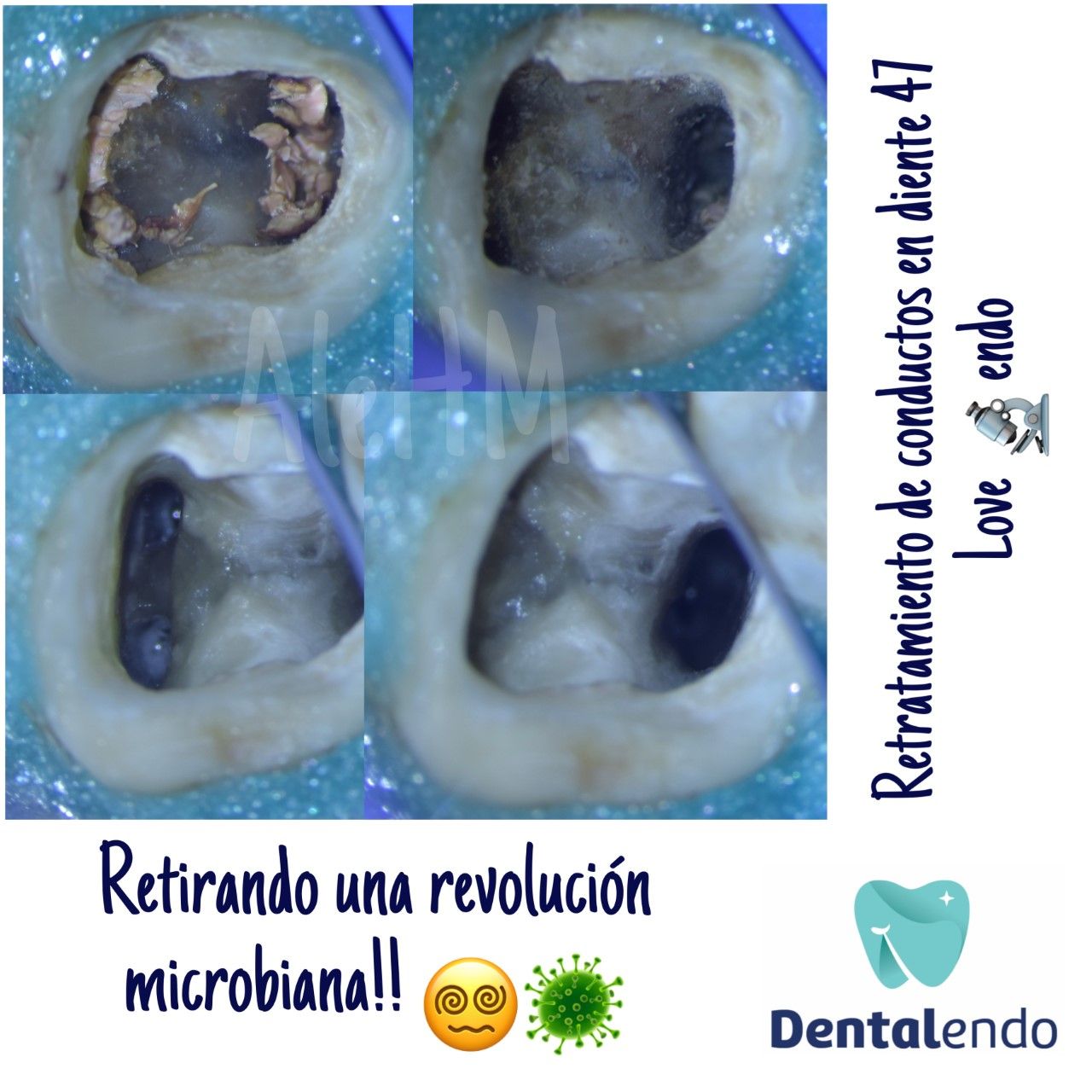 Alejandra Heredia Morán-5