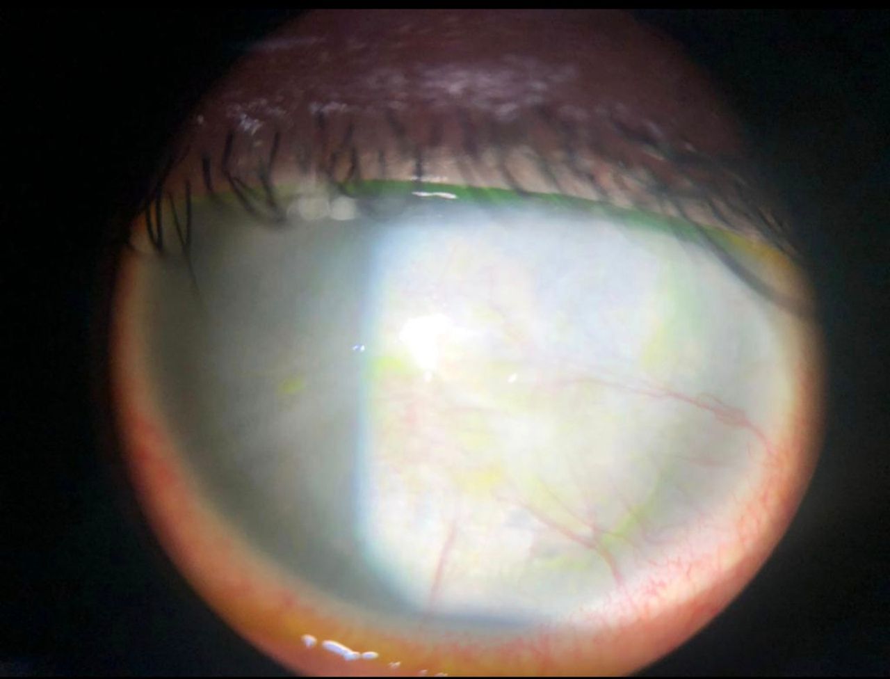 Brenda Sánchez Laguna-7