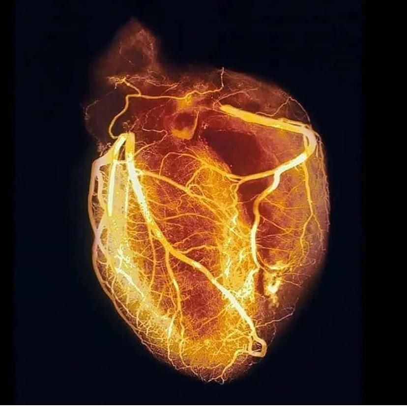 Antonio Ruiz Rivera-0