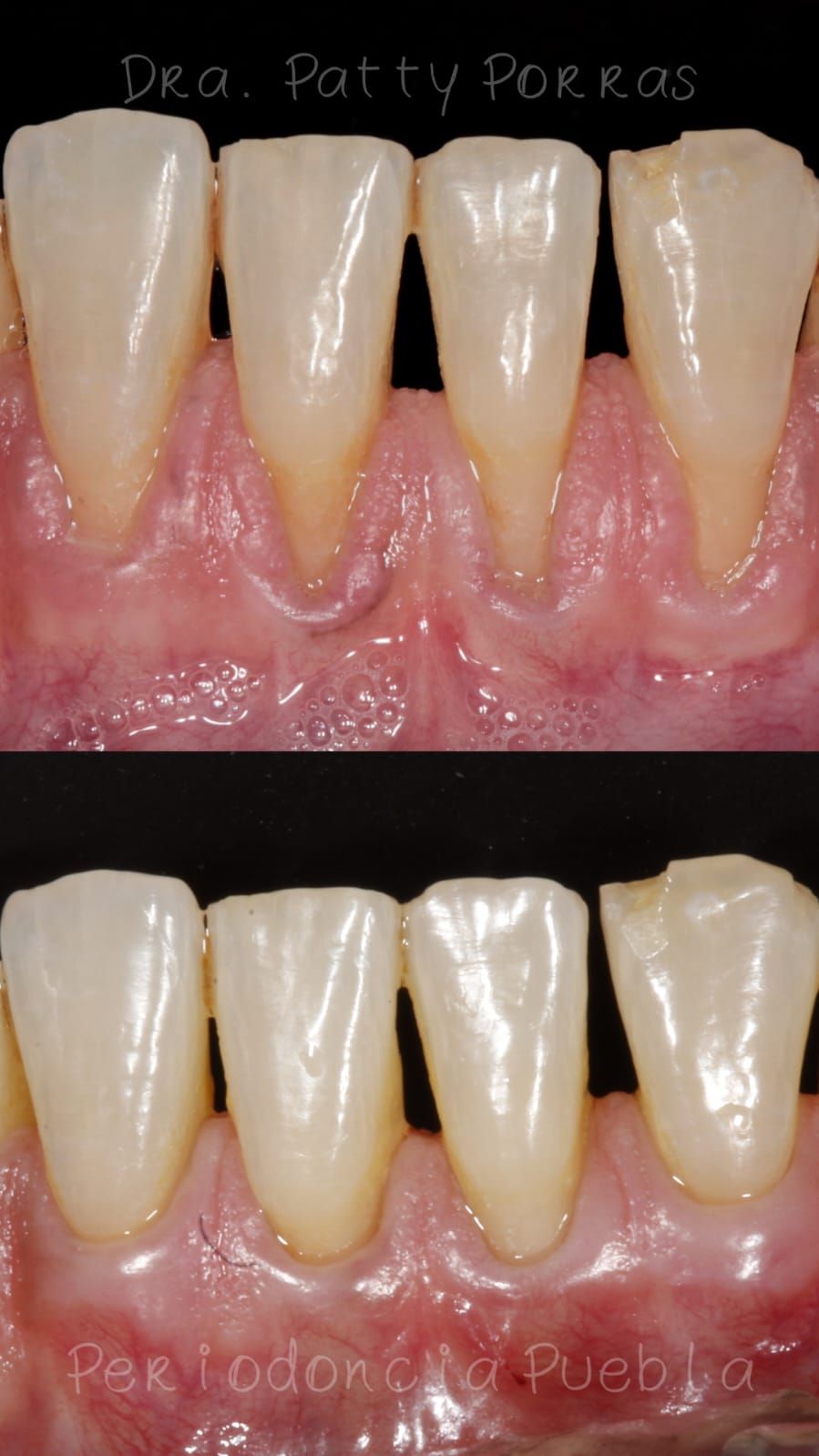 Patricia Porras Domínguez-8