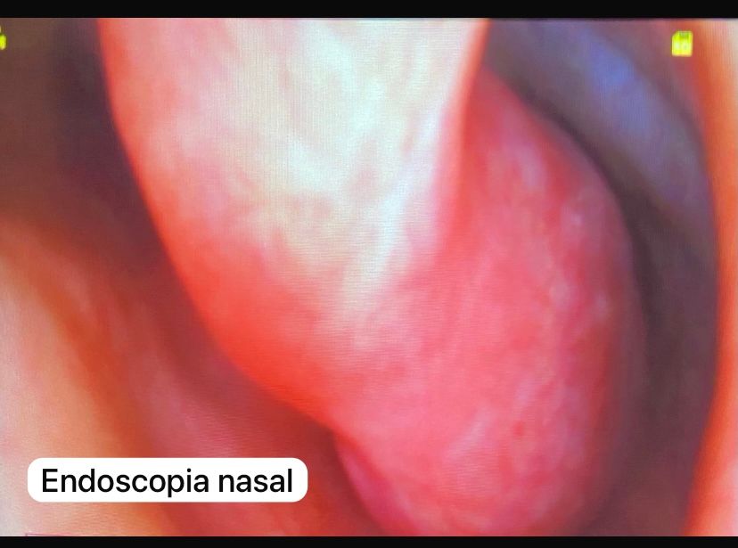 Eloisa Jiménez López-10