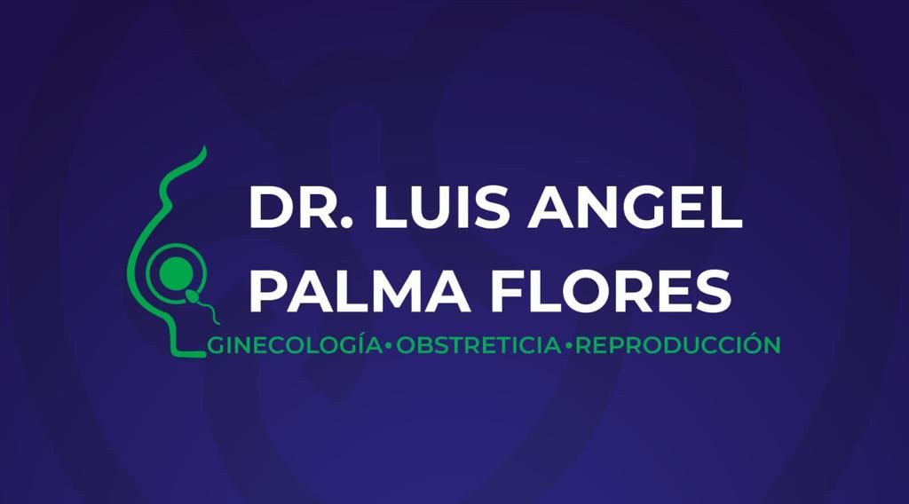 Luis Angel Palma Flores-5