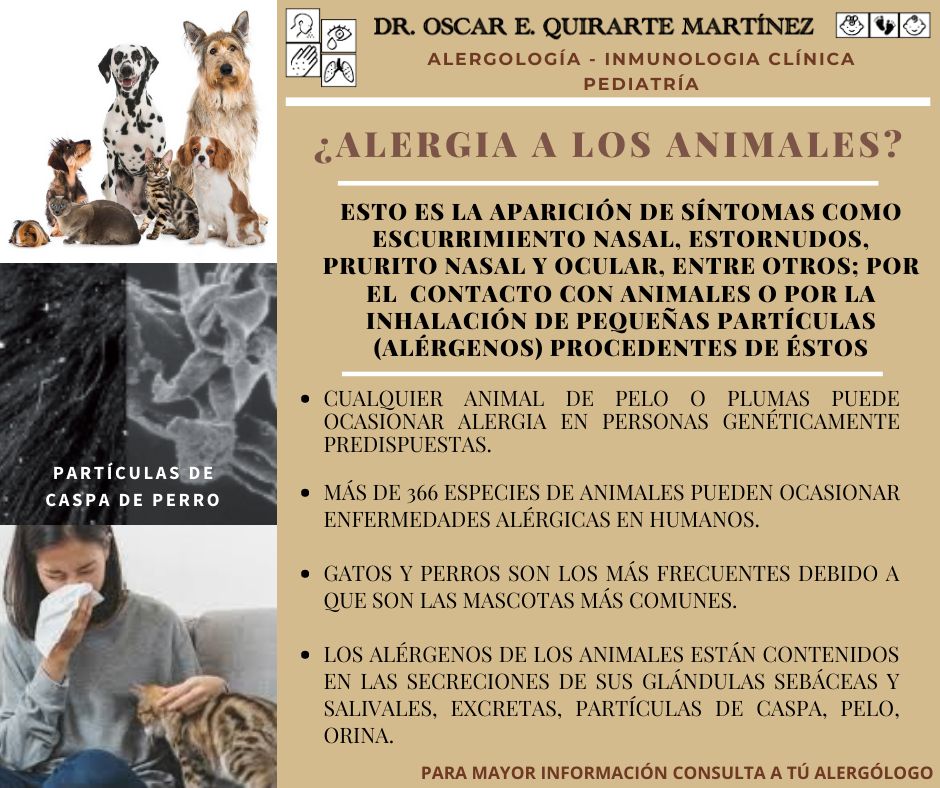 Oscar E. Quirarte Martínez-8