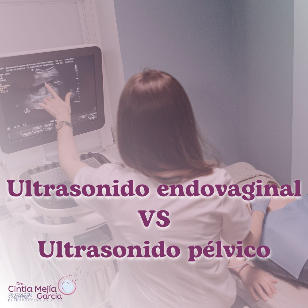 Cintia Mejia Garcia-6