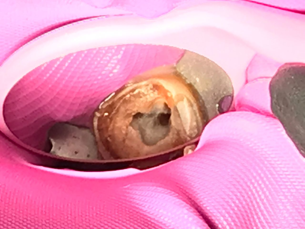 Lucero Dominguez Popoca-9