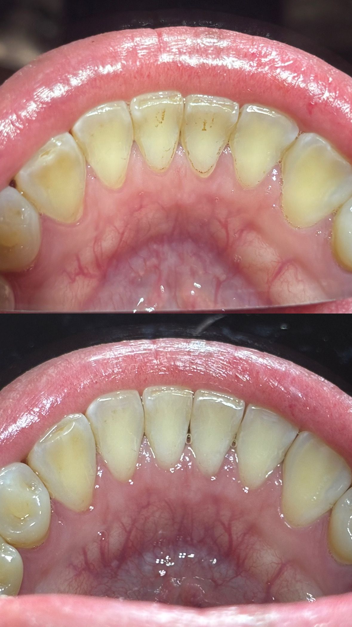 María Paula  Flores Novoa-73