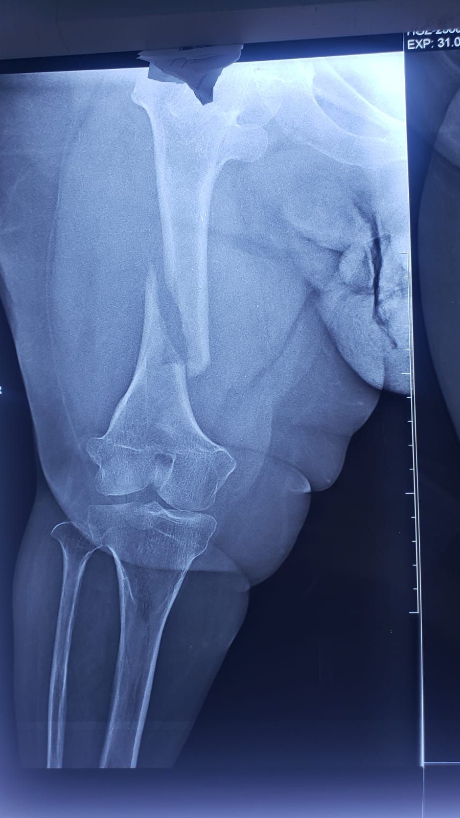 Francisco Sandoval Pérez-17