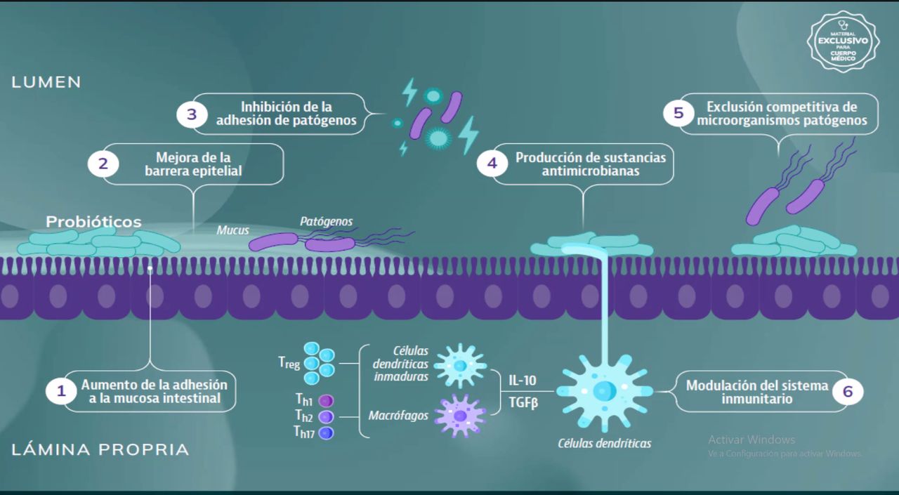 Ana Veronica Ramirez Vargas-3