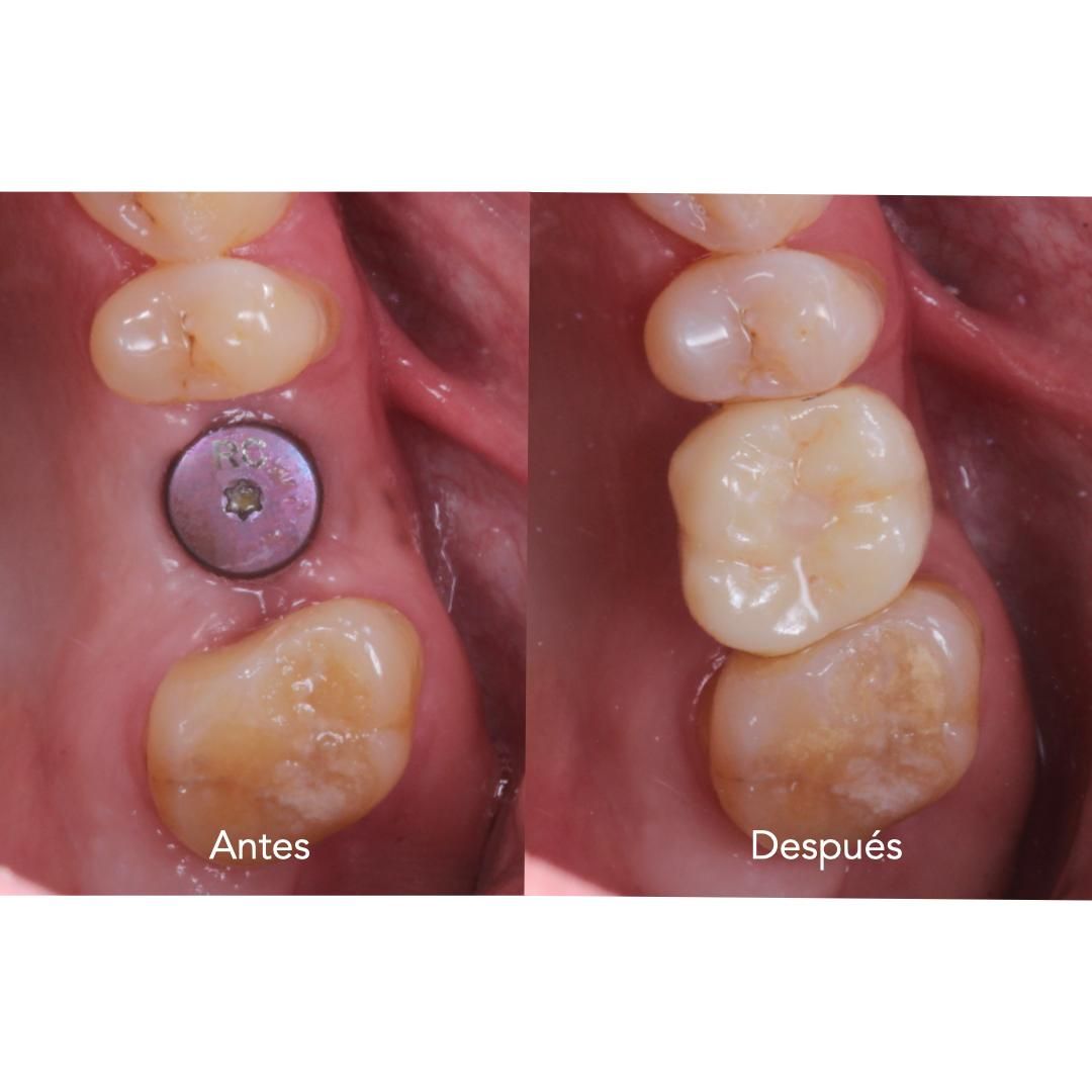 Mariana Herrera Martín Del Campo-17