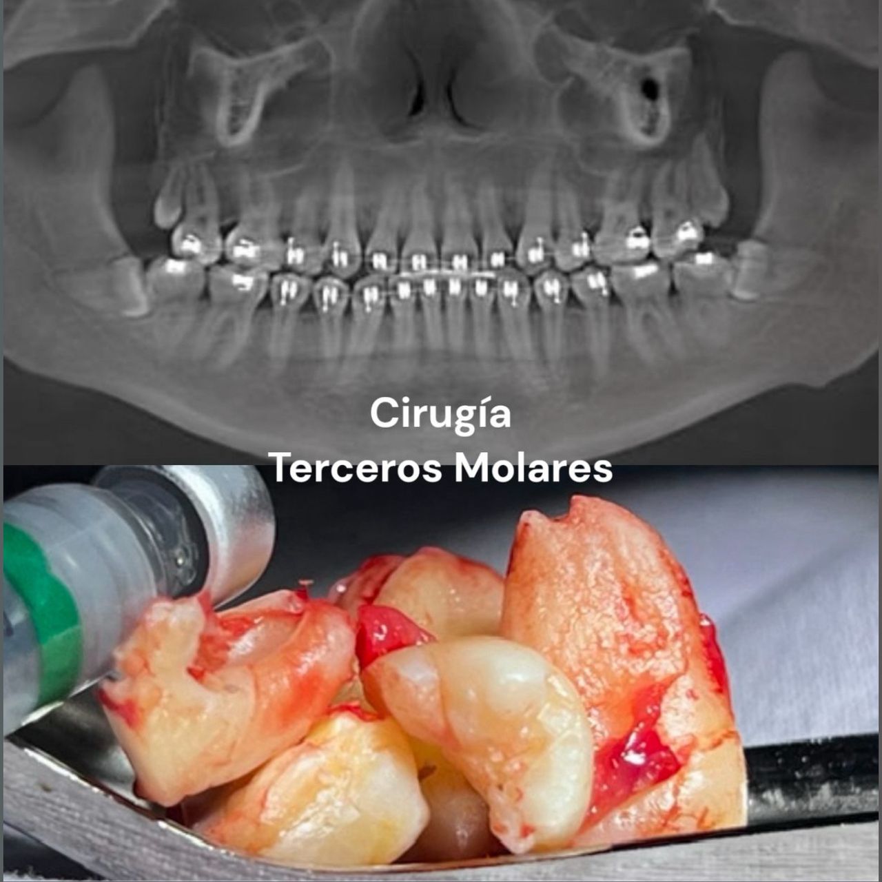 Ricardo Daniel Noriega Avitia-2