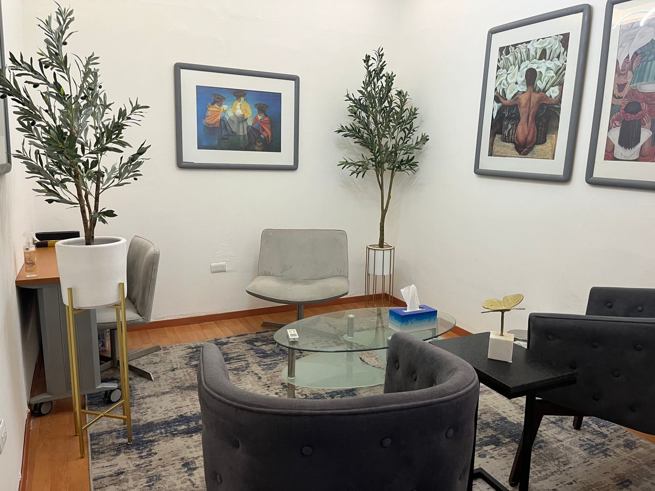 Ana Fernanda Pier Suárez-1