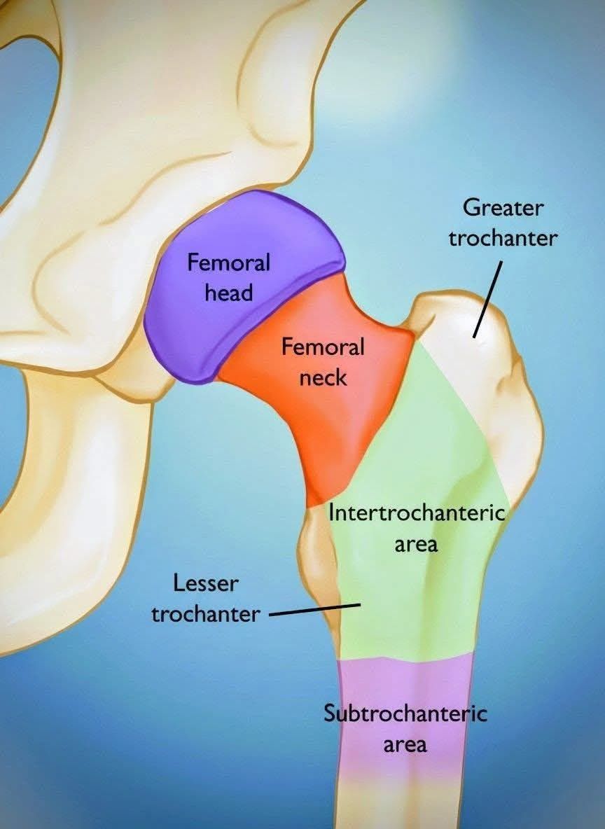 Josué Jonatan Arcia Guzmán-4