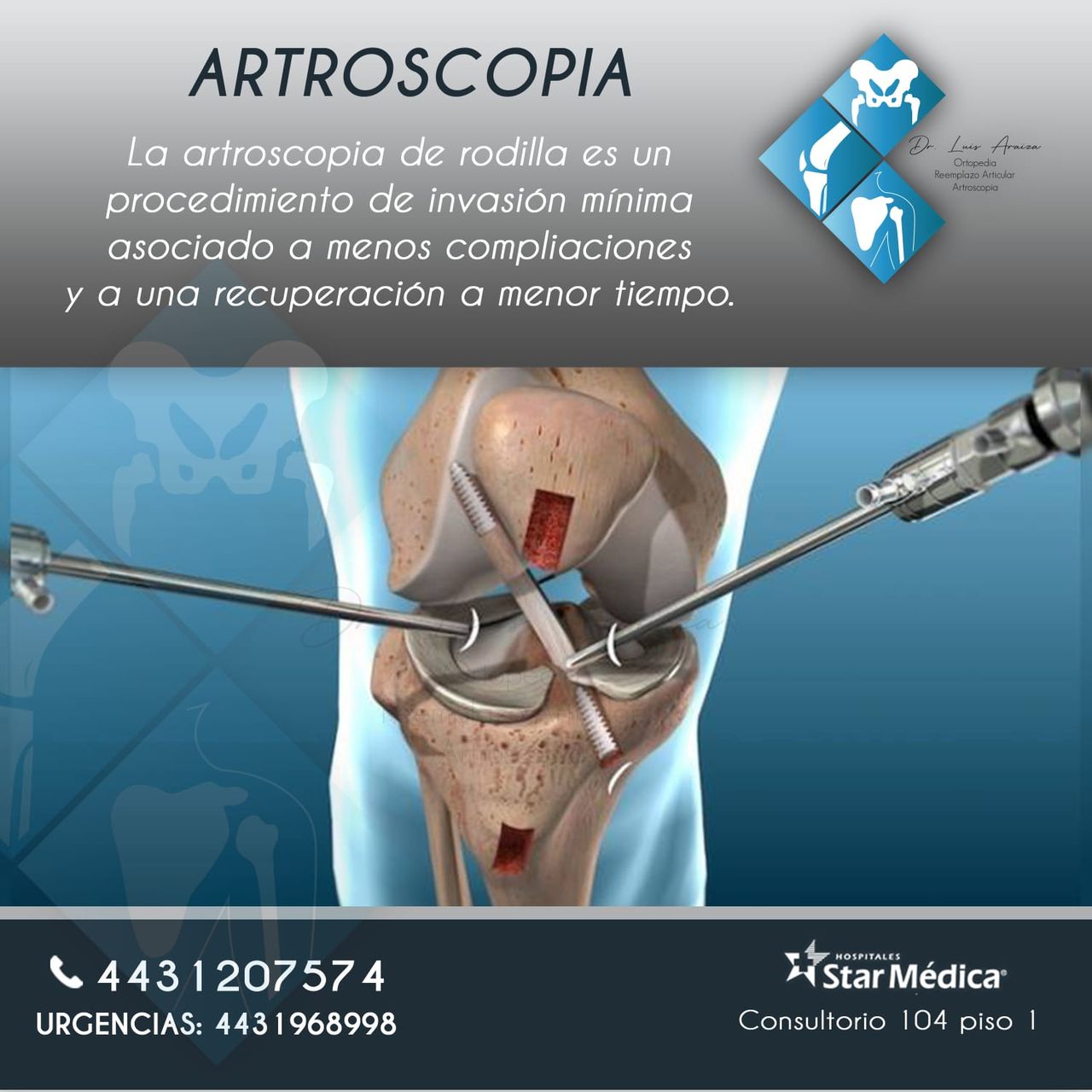 Luis Enrique Araiza Sixtos-0