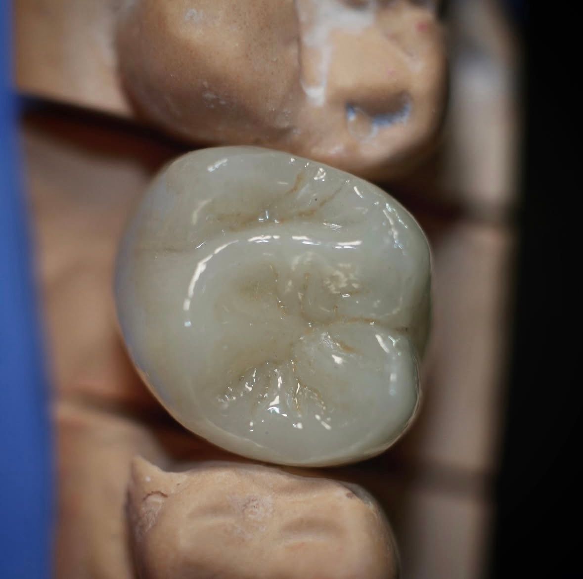 Cassandra Pérez Guzmán-4