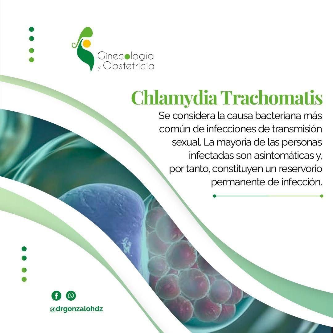 Gonzalo Hernández Martínez-62