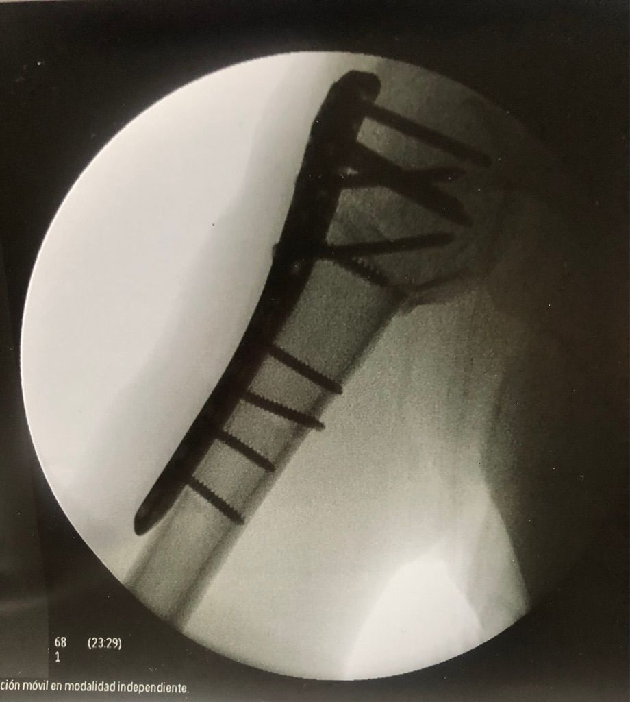 Gisela Cleto Zepeda-135