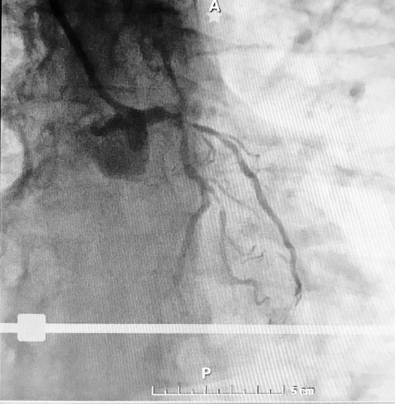Héctor González Godínez-7